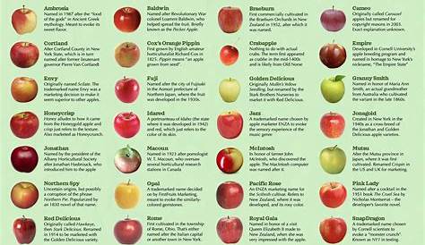 The Etymologies of Apple Names [Infographic] | Apple varieties, Make an