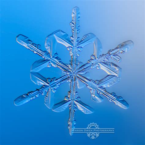 Albums 96 Pictures Pictures Of Crystal Ice Stunning
