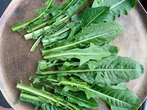 Sautéed Dandelion Greens With Cherry Tomatoes And Garlic Aviva Romm Md