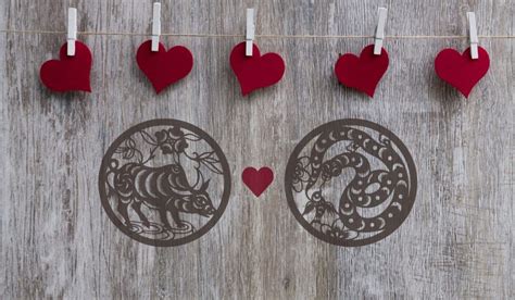 Maybe you would like to learn more about one of these? Ox and Snake Love Compatibility: A Harmonious Relationship