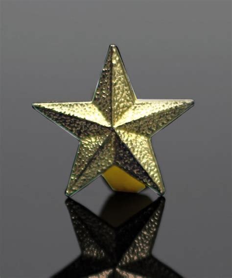 Recognition Pin Gold Star Gold Star Lapel Pin
