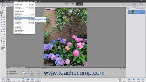 Photoshop Elements 2021 Tutorial Adjusting Brightnesscontrast Adobe