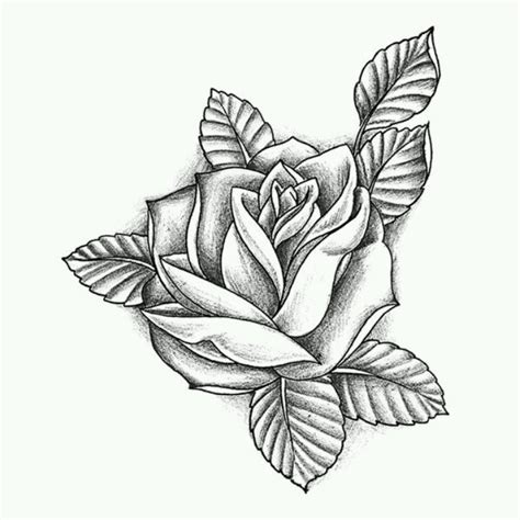 Rose Tattoo Stencil Designs Rose Tattoo Stencil Rose Drawing Tattoo