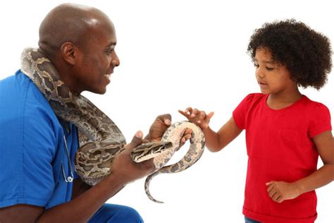 Fear Of Snakes Learn About Nature