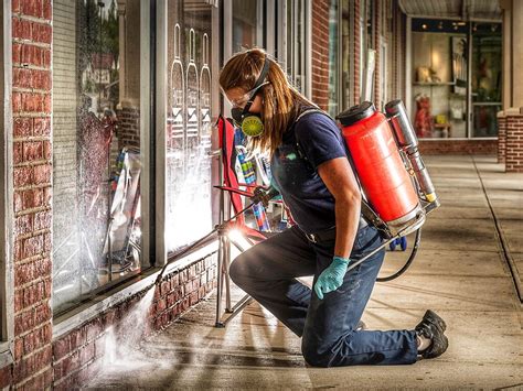According to the rules and regulations of the indian government, the license for applying and using chemicals for insecticides and pesticides, you need to be this is the one and only criteria for entering the industry of pest control. How to Control Various Pests From Invading Your Kitchen ...