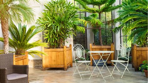 Biophilic Design Is 2021s Most Ecoconscious—and Excellent—interior