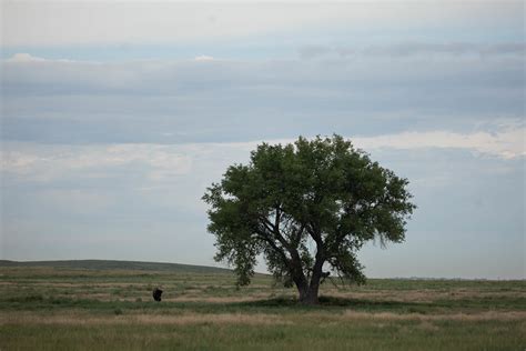 A 2309 Rocky Mountain Arsenal National Wildlife Refuge De Flickr