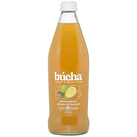 Bucha Kombucha Tea Guava Mango 473ml London Drugs