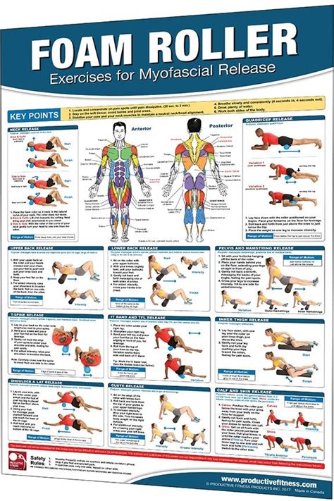 Productive Fitness Foam Roller Exercise Chart For Myofascial Release