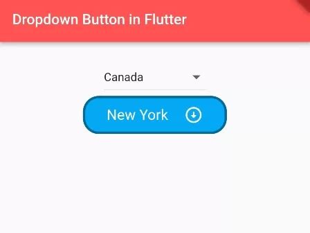 How To Add Dropdown Button Widget In Flutter App