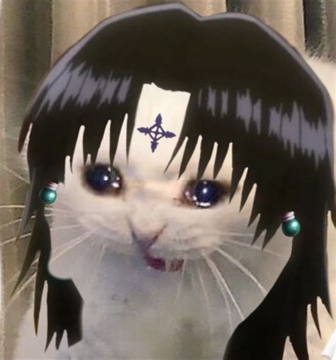 The Best Anime Cat Pfp 2022