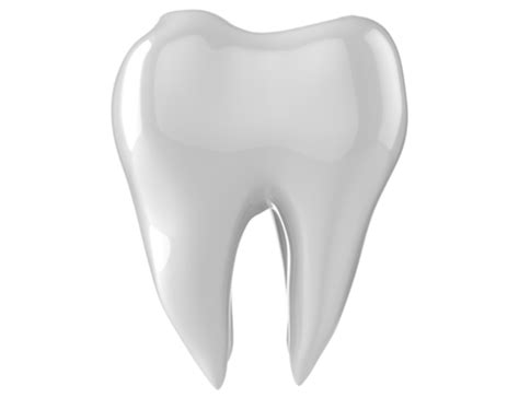 Dental Pngs For Free Download
