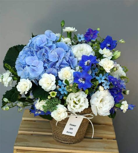 Blue Snow Flower Chocolate Snacks And T Delivery In Seoul And South Korea Koreas Most