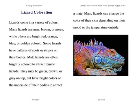‎lizard Facts For Kids 9 12 En Apple Books