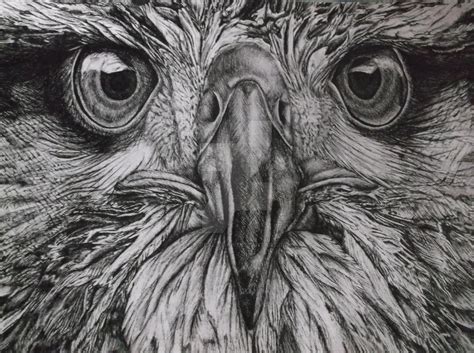 Oct 17, 2017 · talking about the art forms, pencil sketches or pencil drawing is one of the major art forms that are popular all over the world.you may also like our beautiful collections on drawings: GCSE Art eagle in fineliner by Its-real-to-us on DeviantArt