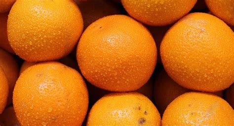 1 Kg Of Orange Fruit Price Fruit Saler