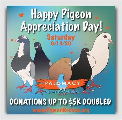 Happy Pigeon Appreciation Day