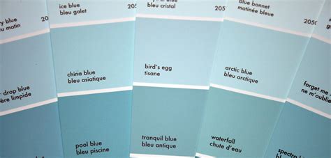 Paint Colour Birds Egg By Benjamin Moore Bird Eggs Haint Blue