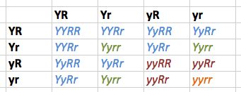 The punnett square calculator is an online tool that allows you to setup traits of the parents to predict frequency of occurence of particular genotype and phenotype in progenies. Di Hybrid - Homework Help - Science Forums