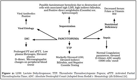 Pancytopenia An Update