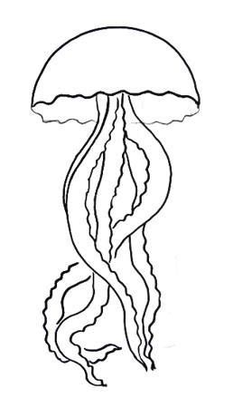 Check spelling or type a new query. Image result for jellyfish drawing | Stained glass ...