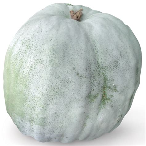 Winter Melon | Produce Market Guide