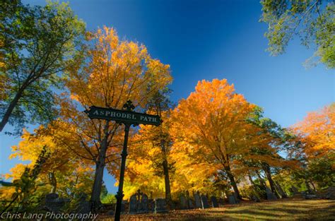 Photos Forest Hills Cemetery Fall Foliage By Chris Lang Photography