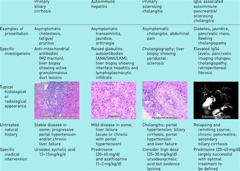 Summary Of Pertinent Features Of Autoimmune Liver Disease Download Table