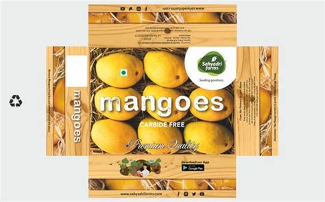 Kraft Paper Mango Packaging Box Shape Rectangular Color