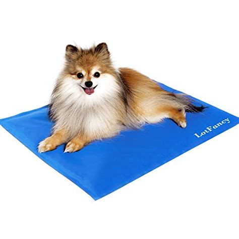 Cool gadgets that your pet is gonna love! 5 Best Pet Cold Gel Pad - Cooling convenience for your bst ...