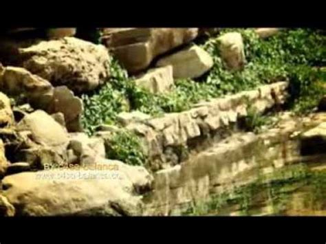 .بنات العرب ساكس بنات عرب ساكس رجال عرب ساكس عاربي ساكس عرب ساكس عرب 2019 ساكس عربى ساكس عربي 2018 ساكس عربي تونسي ساكس عربي. يا ندى - علي الدلفي | صوتيات درر العراق MP3