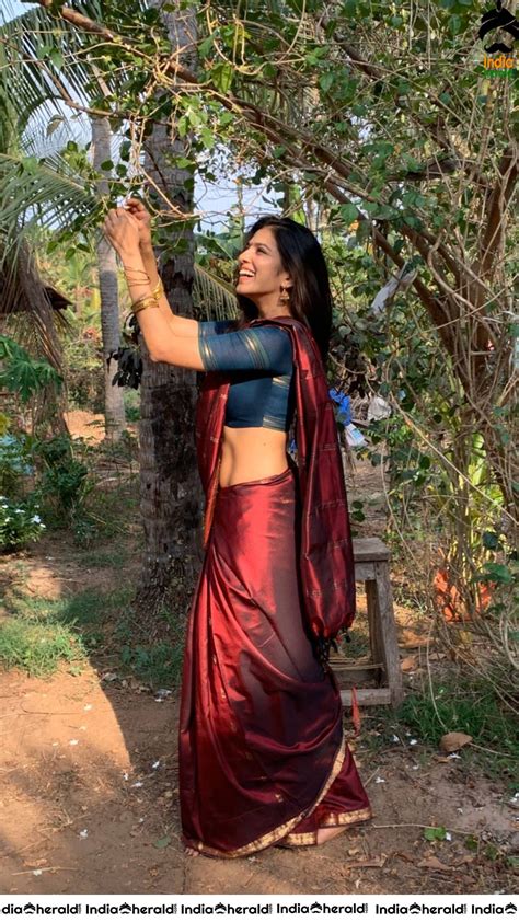 Malavika Mohanan Hot Saree Photos Exposing Her Hip And Hot S Hot Sex Picture