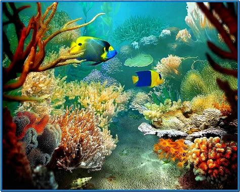 3d Tropical Fish Aquarium Iii Screensaver Download Free