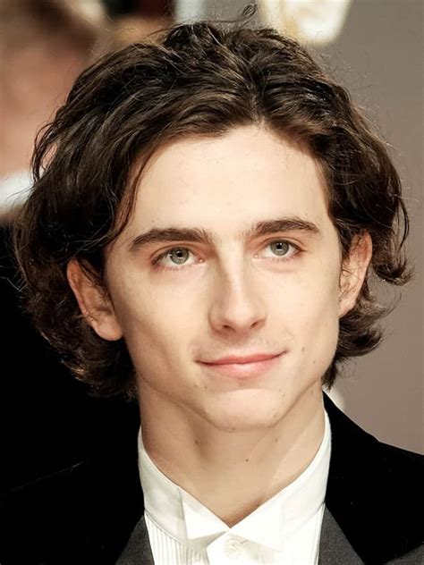 How To Get Timothée Chalamets Glorious Hair Official Fame Magazine