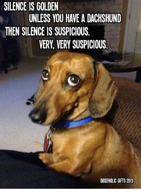Silence Is Golden Unless You Have A Dachshund Then Silence Is
