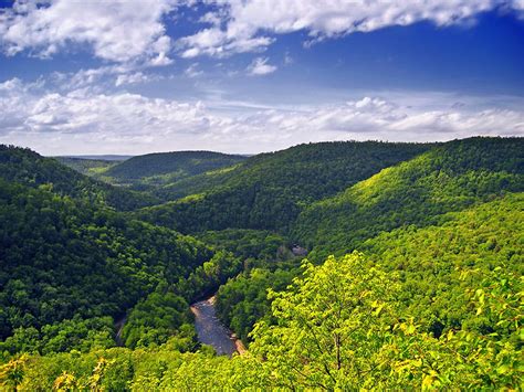 12 Amazing State Parks To Visit In Pennsylvania