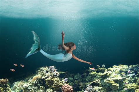 Underwater Mermaid Swimming Among Ocean Coral Reef Stock Photo Image