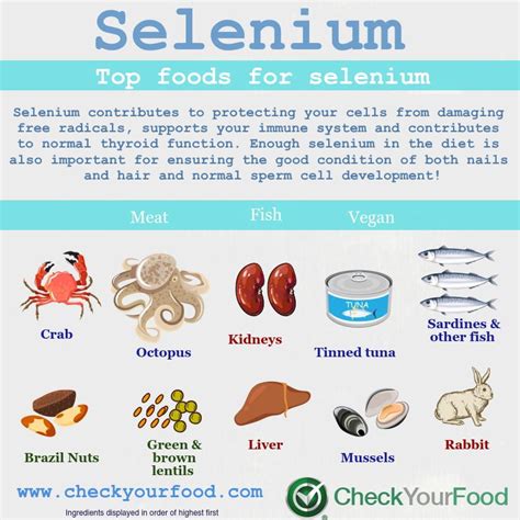 The Top Ten Foods Selenium