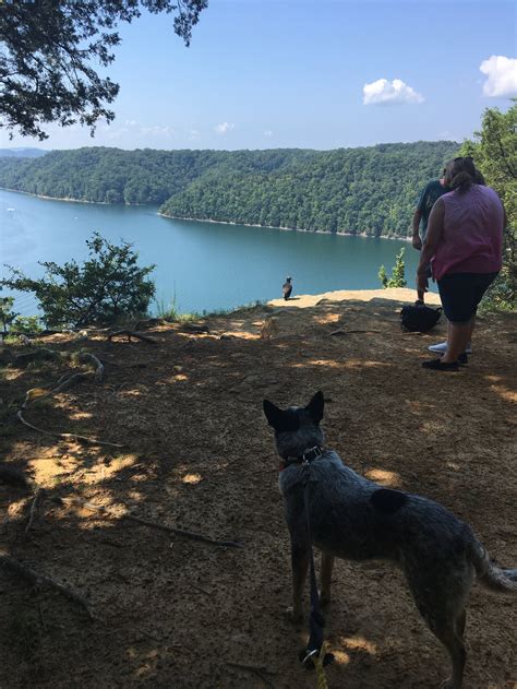 Dale Hollow State Park Camping | The Dyrt