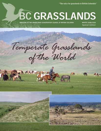Environment 11 Temperate Grasslands And Savannahs