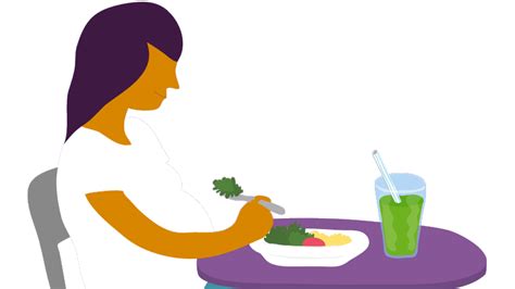 S Com Presents Nutrición Alimentación Saludable Animated  S