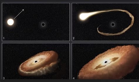 Telescopio Hubble Capta Un Agujero Negro Comi Ndose Una Estrella Y La