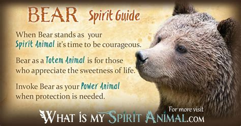 Bear Symbolism And Meaning Spirit Totem And Power Animal Animal Totem