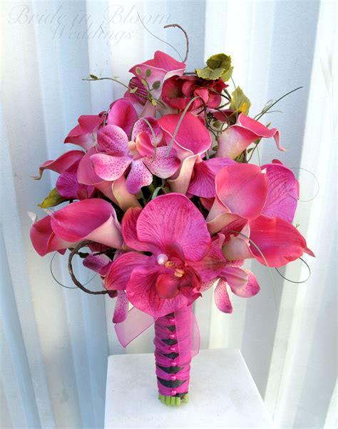 Pin On Flowers Orchids Pink