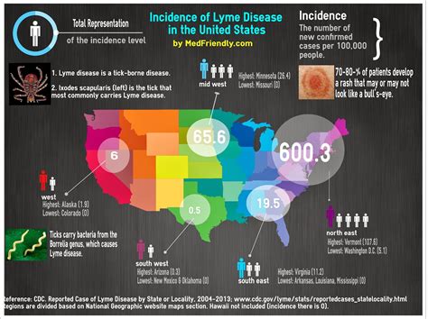 Medfriendly Medical Blog Infographic On Lyme Disease Incidence