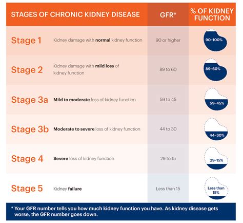 The better you understand your condition, the better you can act and help your body to cope with it. Chronic kidney disease stages gfr > IAMMRFOSTER.COM