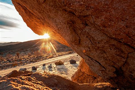 Sunrise Burst In Mojave Desert Photograph By Cavan Images Fine Art