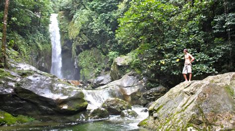 Pico Bonito National Park Honduras Traveling
