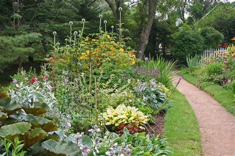 This lawn weed killer for flower bed from doctor kirchner natural weed killer is also a great it grows in dry and sunny areas. Perennial Flower Bed Designs for a Garden That Resembles Paradise - Gardenerdy