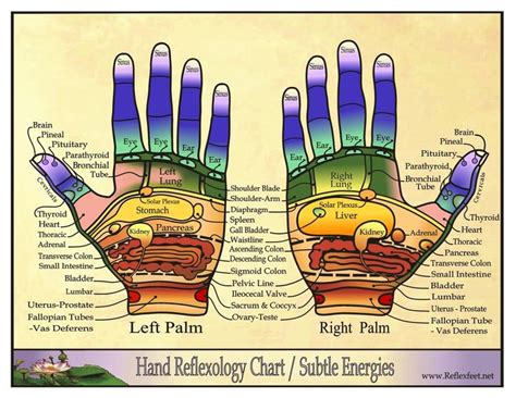 Reflexology Charts Reflexology Hand Chart Hand Reflexology